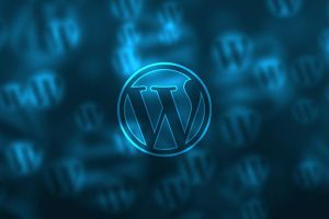 Januari 2020 – WordPress plug-in security update